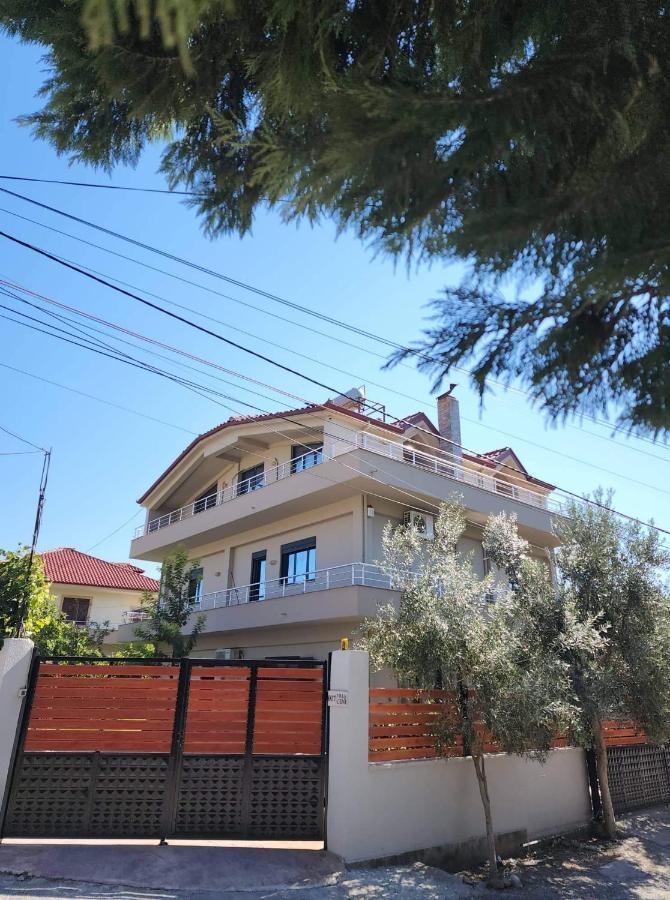 The Olive View Apartment By Ceni, Elbasan Exterior foto